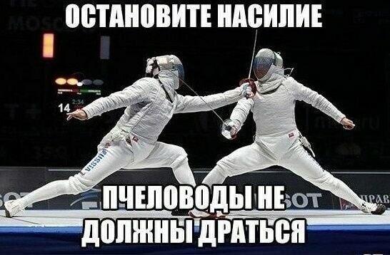 Два фехтовальщика в масках и белых костюмах на ринге. Надписи: Остановите насилие, пчеловоды не должны драться