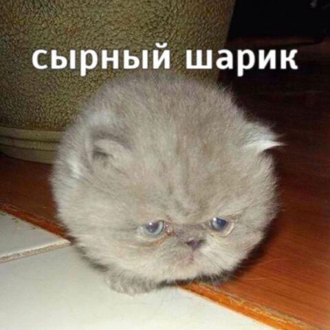 Мем от Лампчка (бебебеПЛМ)