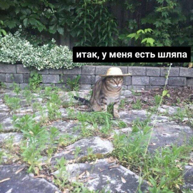 Мем от Батя
