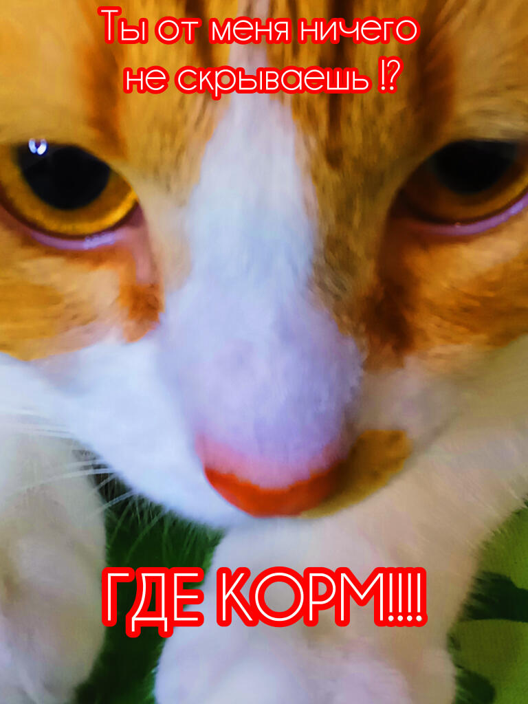 Друзья! Переходите на мой канал на рутебе шашки с Владом https://rutube.ru/channel/43907106