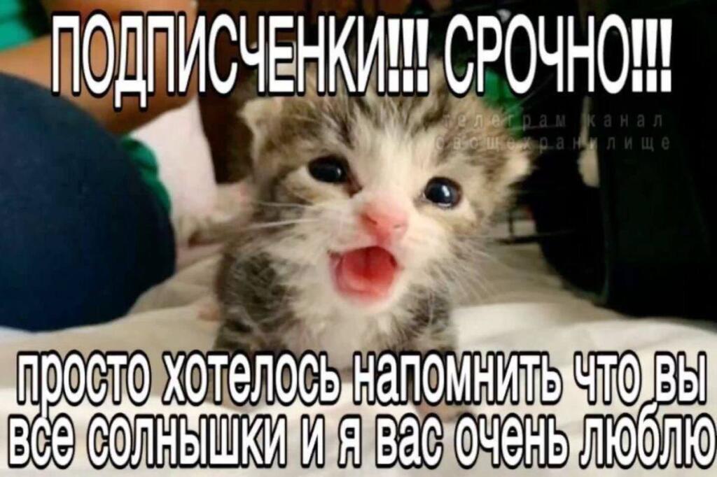 ( ͡°³ ͡°)