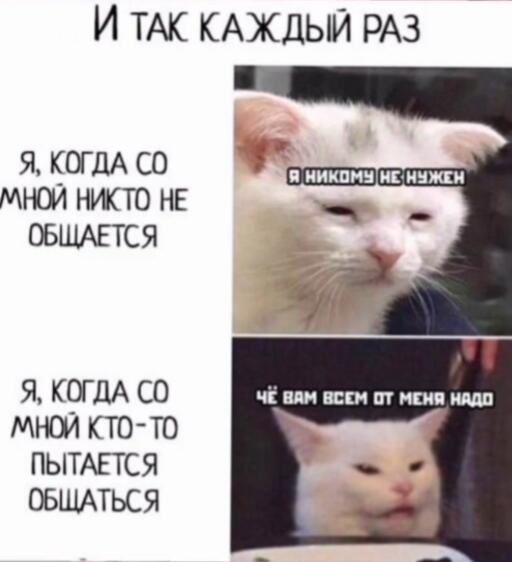 Логика сломана :/