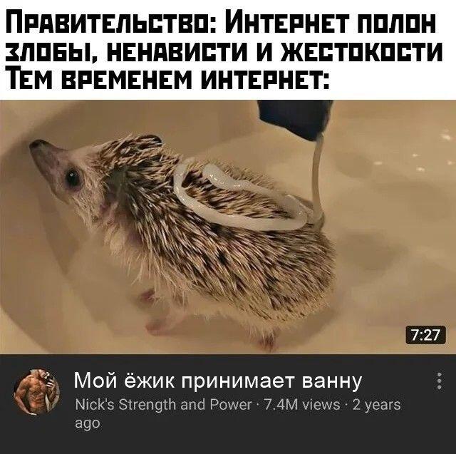 Доброта, позитив - наполняют коллектив🥰
