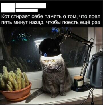 Мем от Алмазная_броня_з4