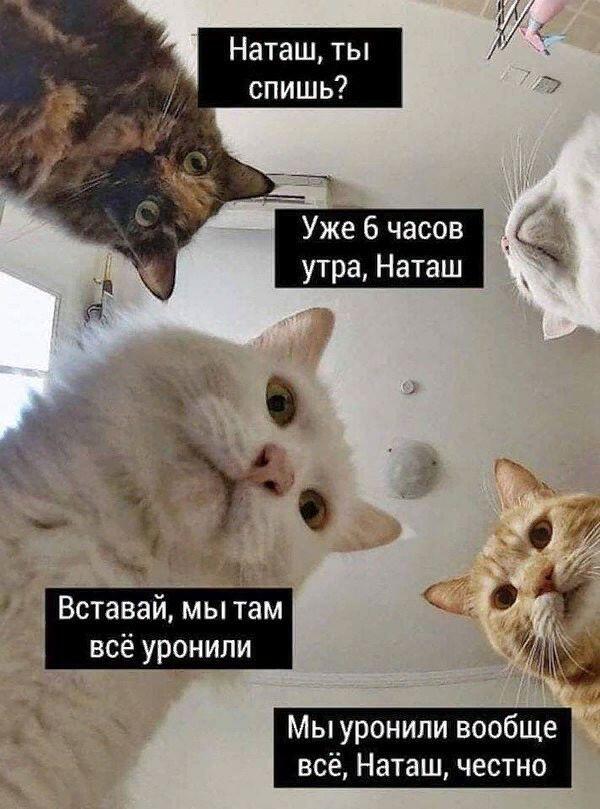Я себе на обои ставила