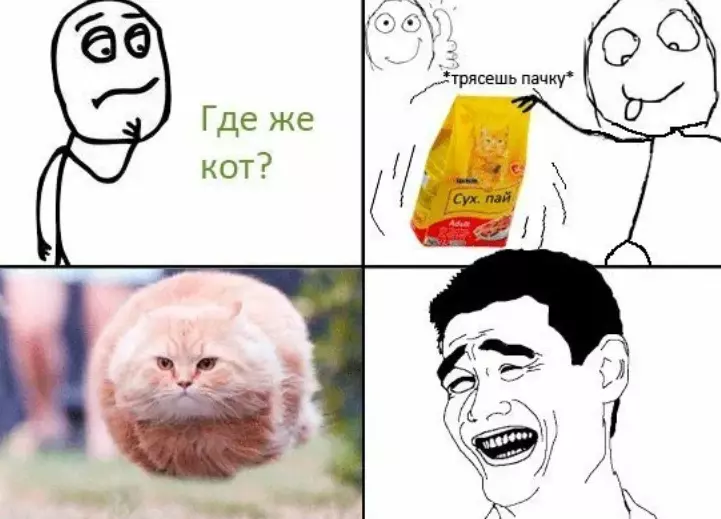 Мемы с матом про. Мемы с котами без мата. Cvtvs ghj RJNDJ. УГАРНЫЙ кот мемы.