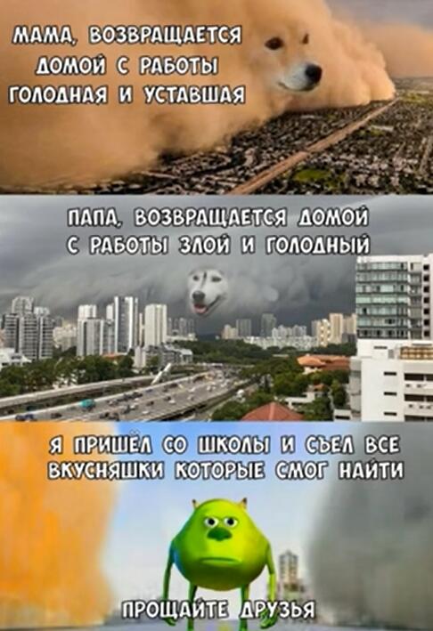 Жиза. Без тегов залетит?