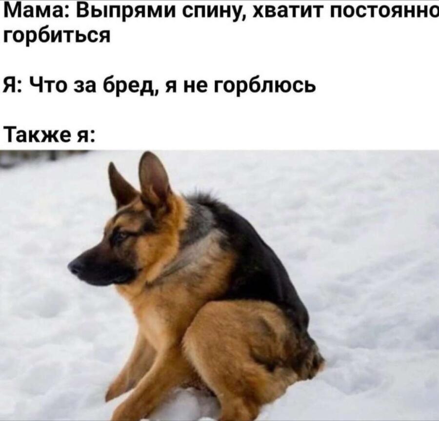 Мем от ✧ 𝓛𝓾𝓷𝓪𝓻𝔂~ 𝖊𝖓𝖋𝖕 ☾𖤓 ˚ ⋆ﾟ🌙