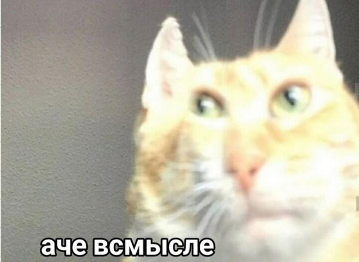 Когда завтра надо в деревню копать кортошку: