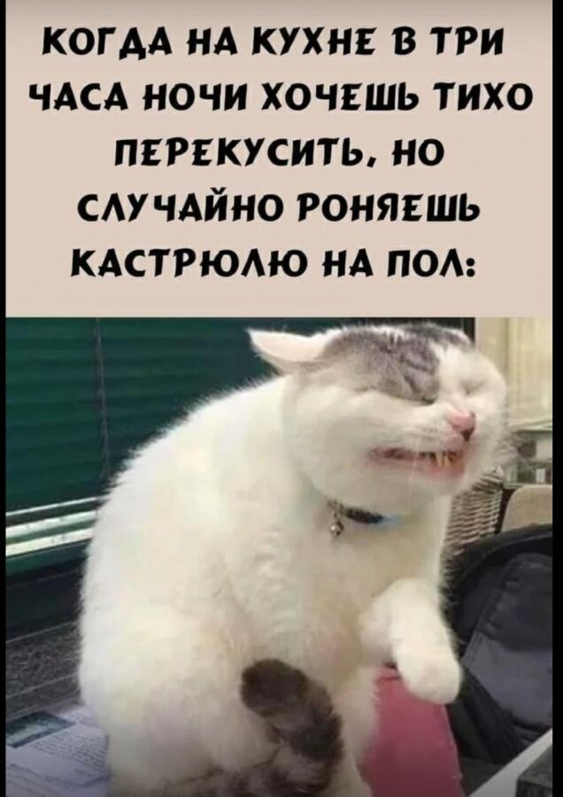 Мама: за-ши-БУ! *идёт как джо джо*