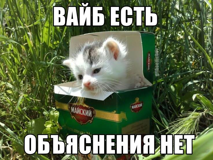 вайбовенько