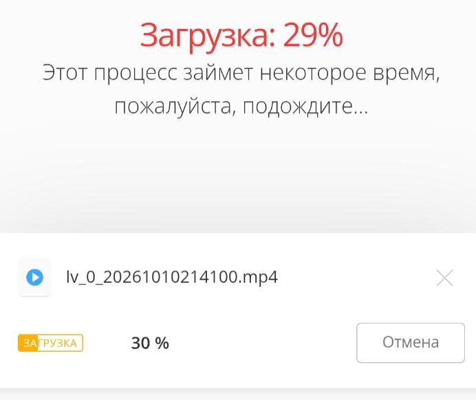 Экран загрузки: общий прогресс 29%, файл mp4 скачивается на 30%, подпись Умно