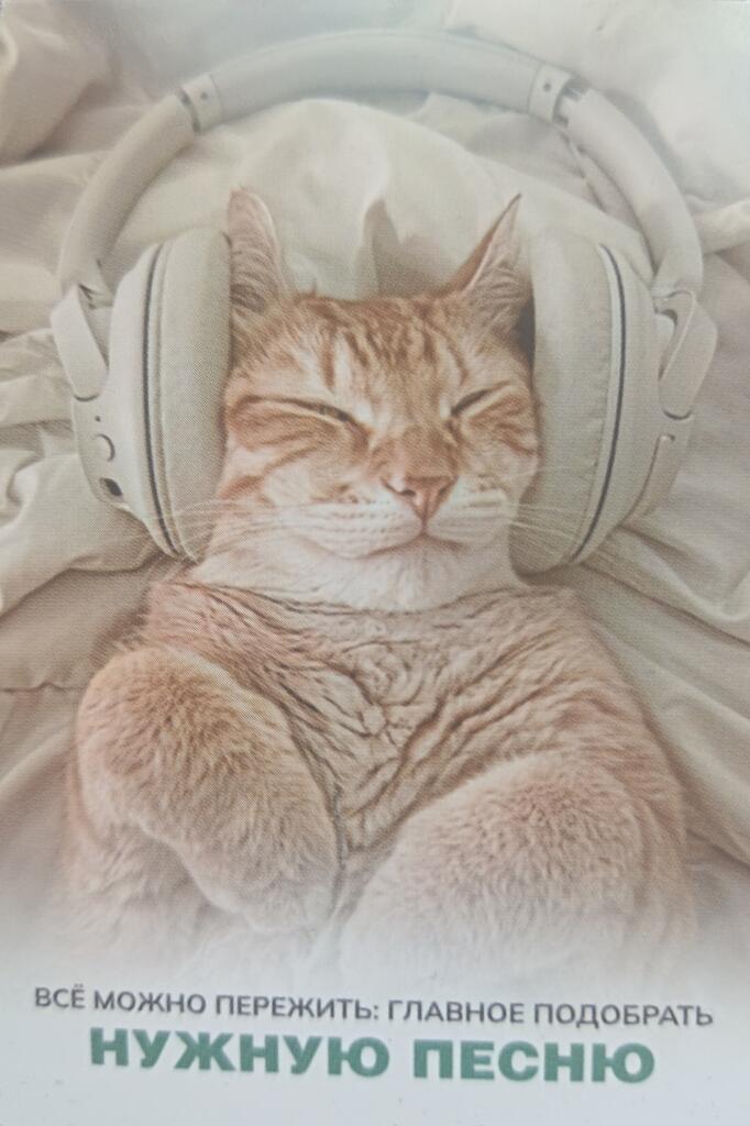 🎧😌