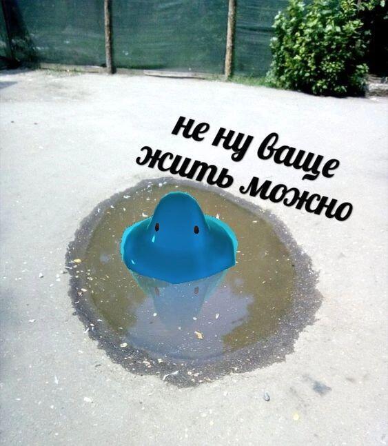 Мем от ₦₳Ɽ1₦ĐɆⱤ_[dame] (глава DAME)