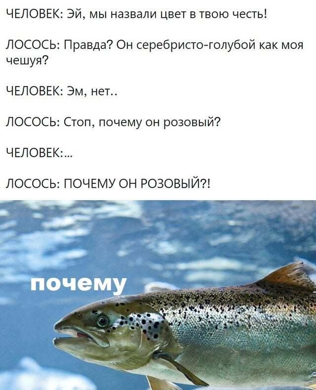 Мем без подписи