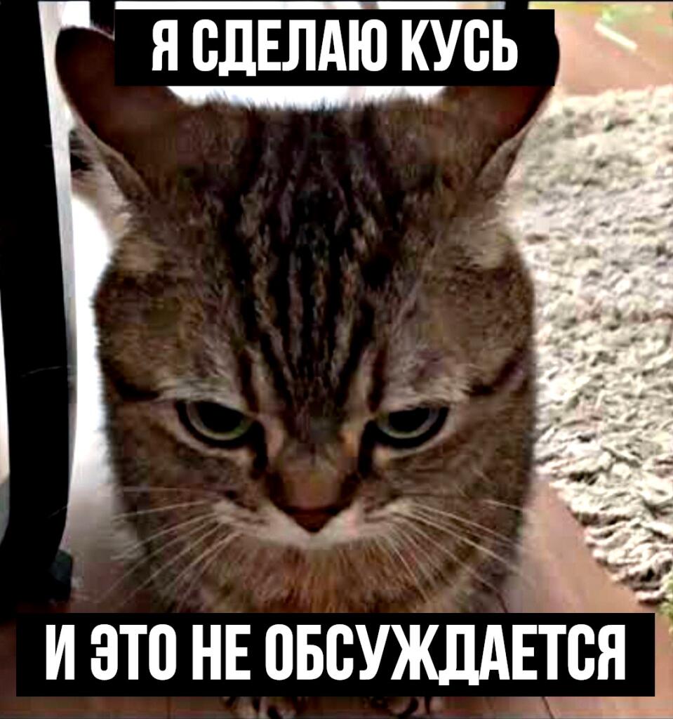 Мем от Алексей Сова