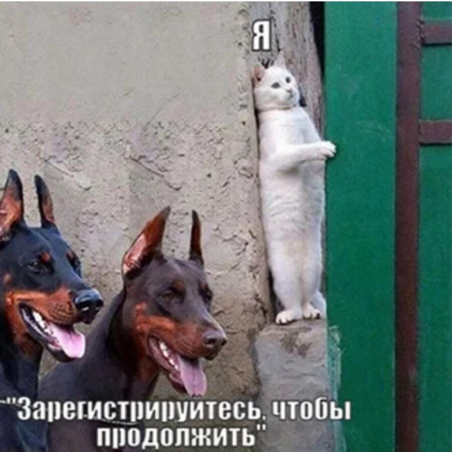 Мем от Aizen_souske