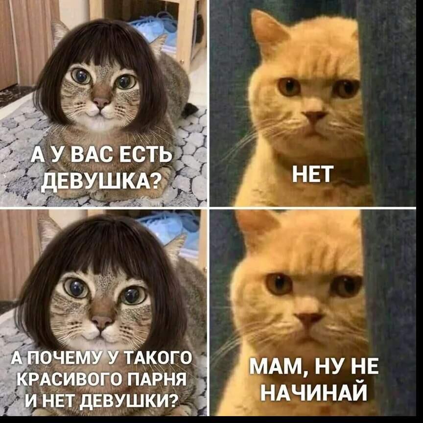 Мем от Aizen_souske