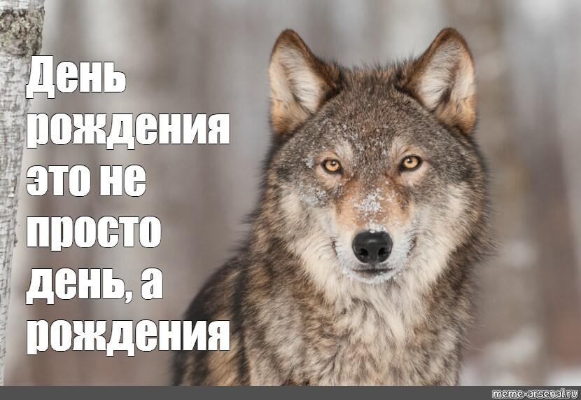 День рождения: "начинается"
Родственники: шлют нормальные открытки
Что шлёт тебе тот самый друг: