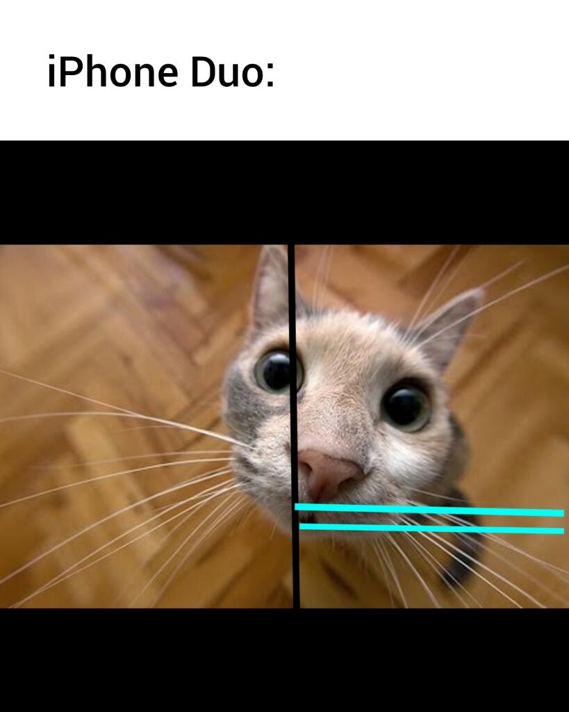 Кот смотрит в объектив с сильным искажением, сверху надпись iPhone 18 (2 из 2)