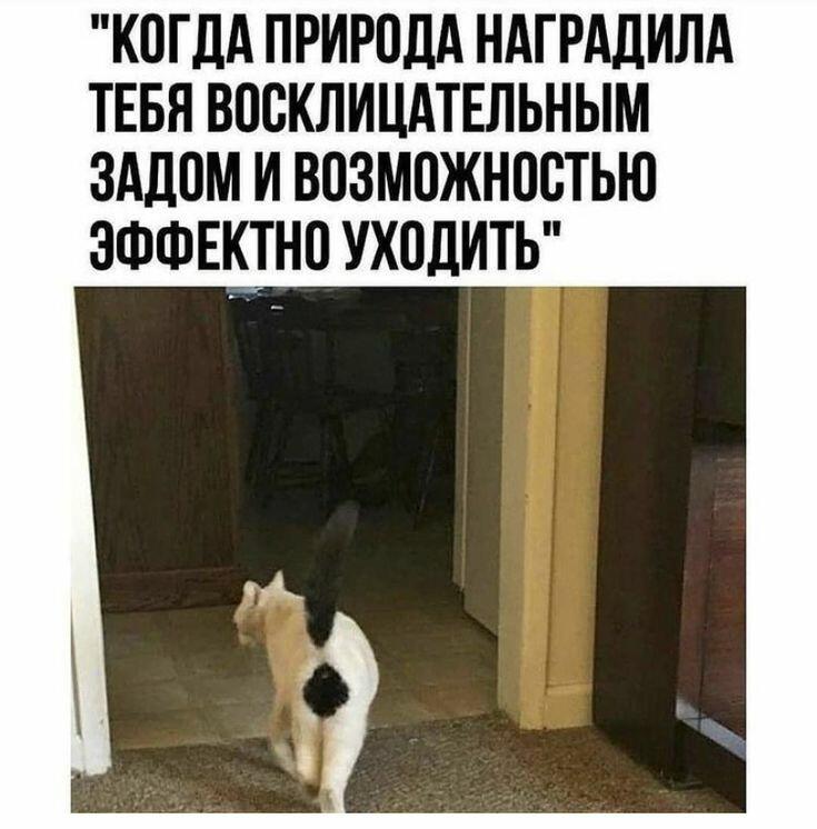 Мем от _Tynik_