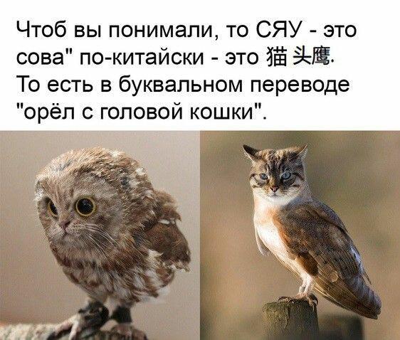 Мем от _Tynik_