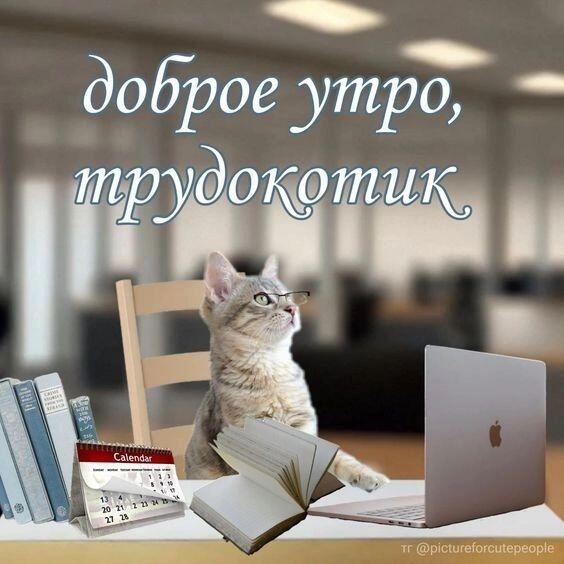 Доброе утро!