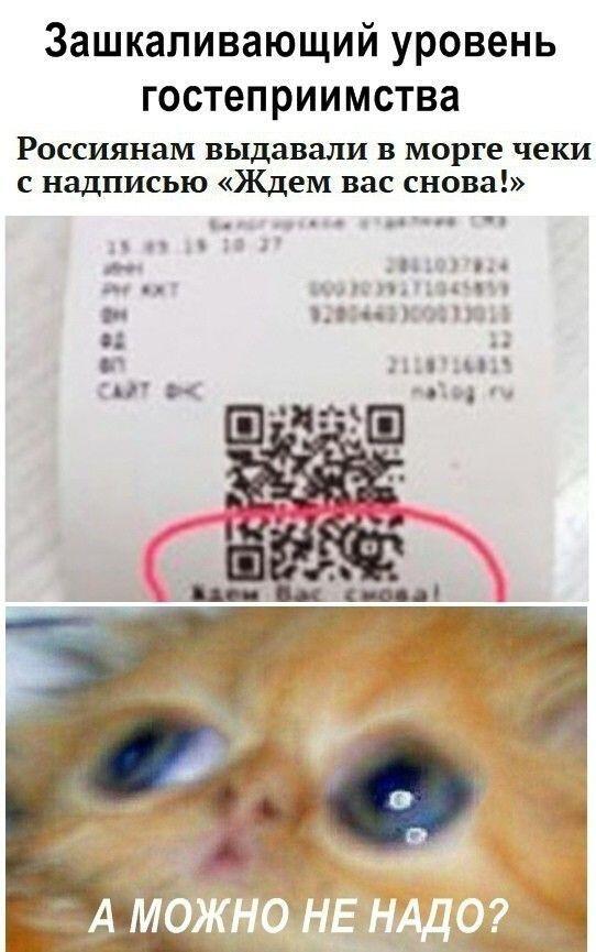 Мем от Дашик Кошик