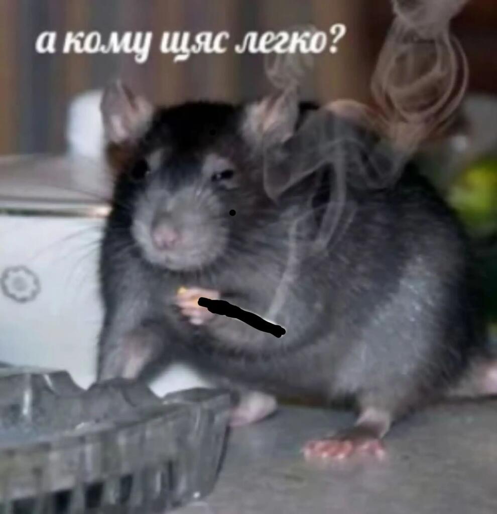 А кому шяс лекго? (Потому что скоро лето)