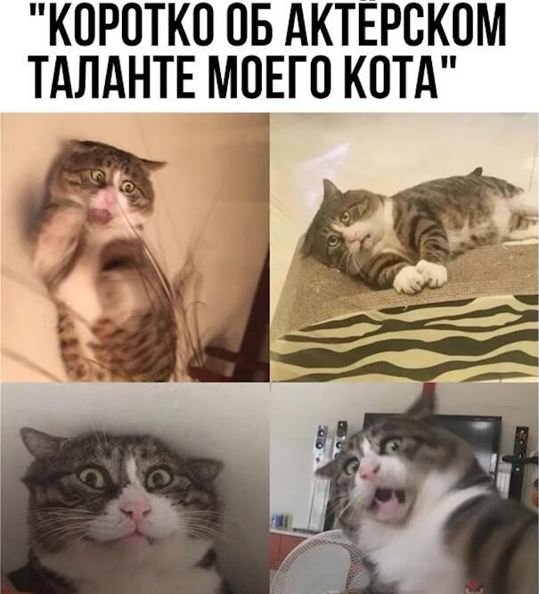 тут и слов не надо