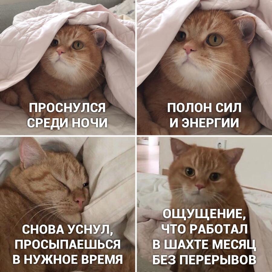 жиза
