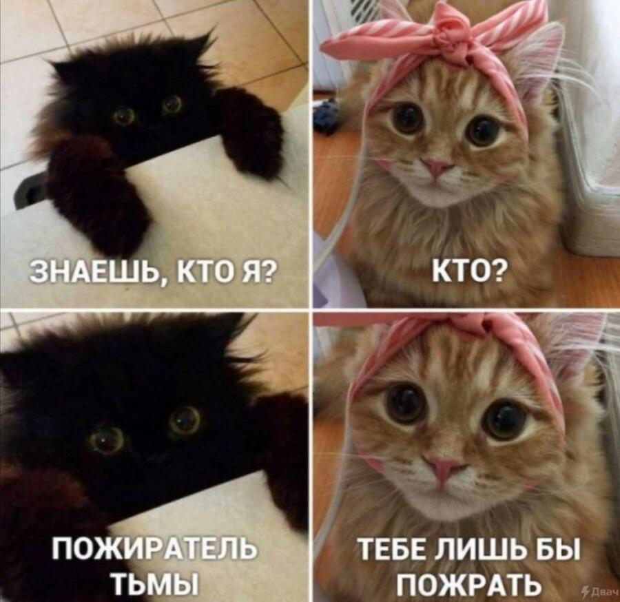 и то верно