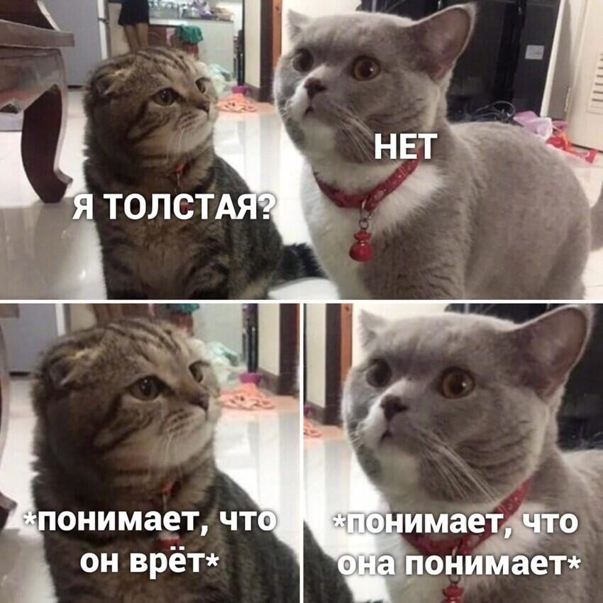 спалился