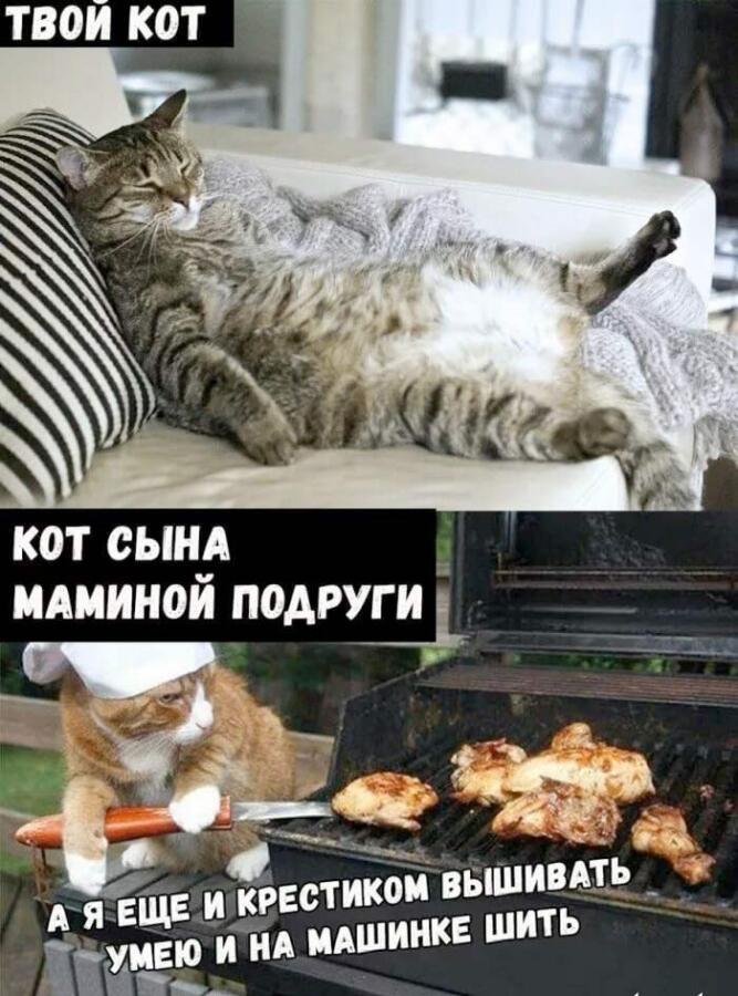 не верьте этому мему он не всегда достоверный