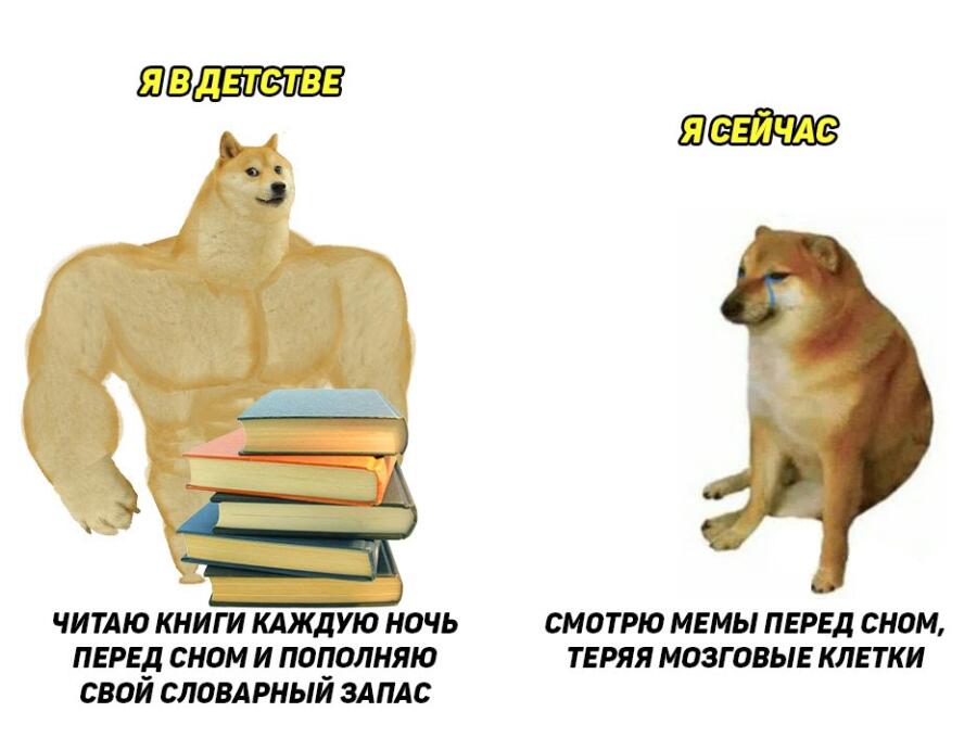 что, даже книги не читаешь?