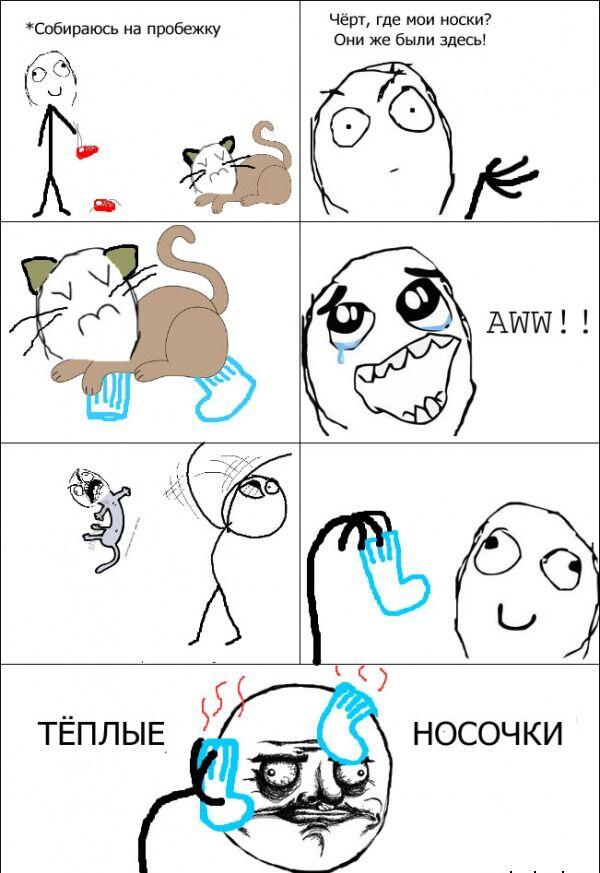 бедный котик