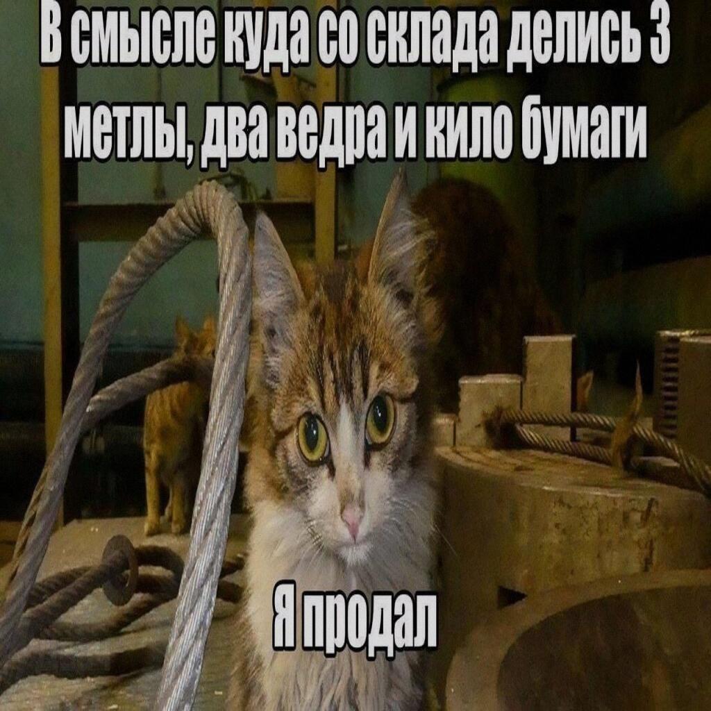 Мем без подписи