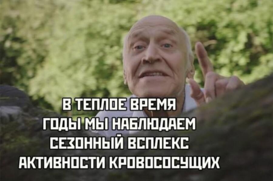 Мем от Обычный vilere