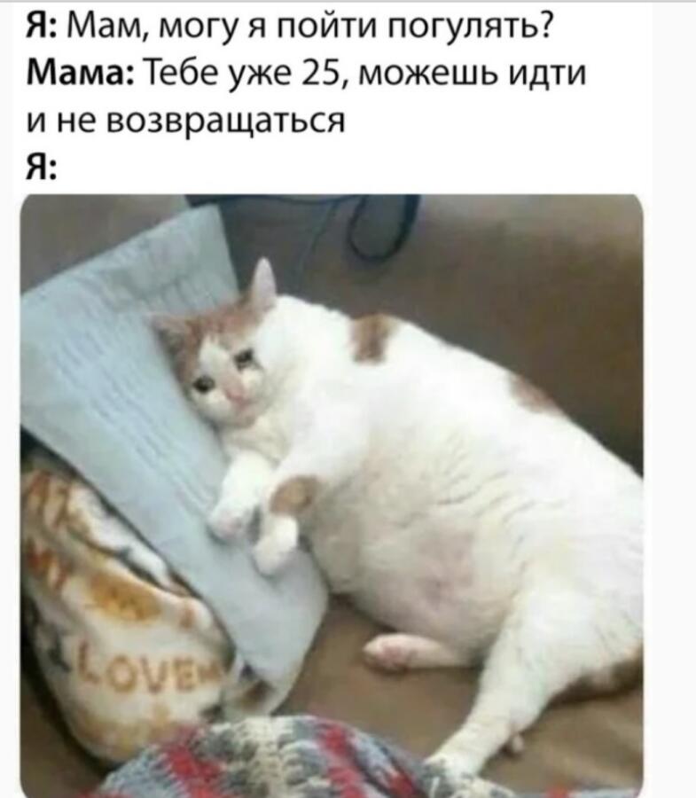 Мем от Обычный vilere