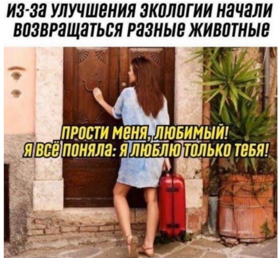 Мем от Обычный vilere