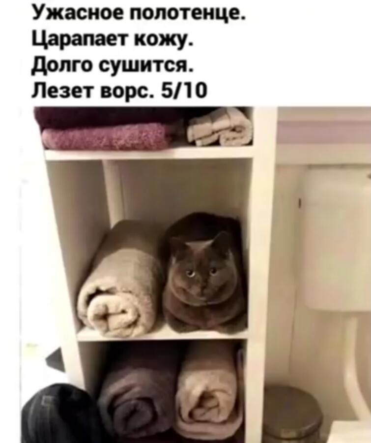 Мем от Обычный vilere