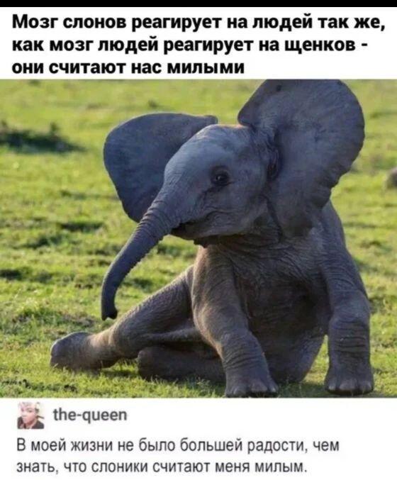 Мем от Limonchik_227(Тыжхудожник)