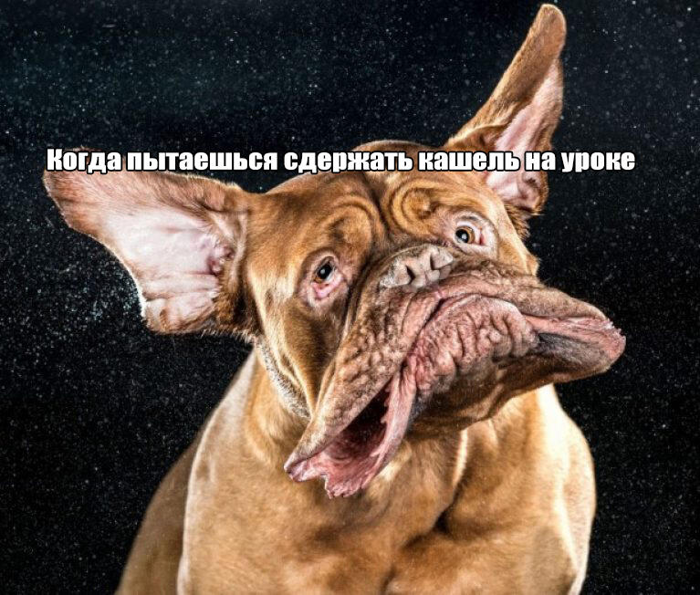 Мем от Lishenka