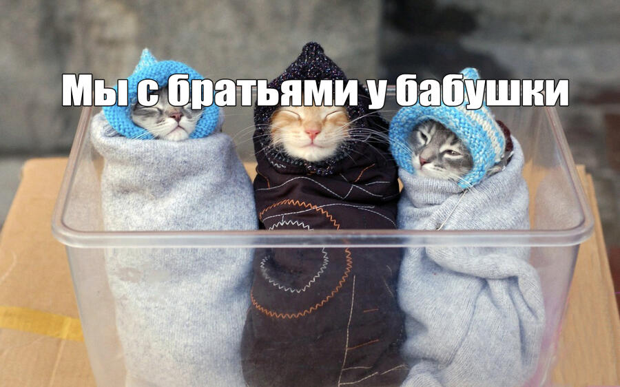 Мем от Lishenka
