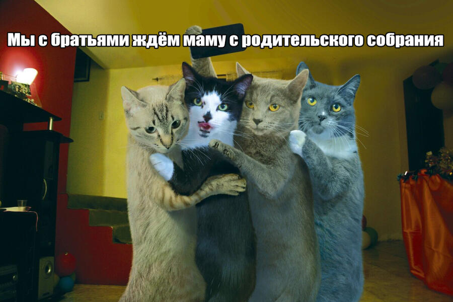 Мем от Lishenka