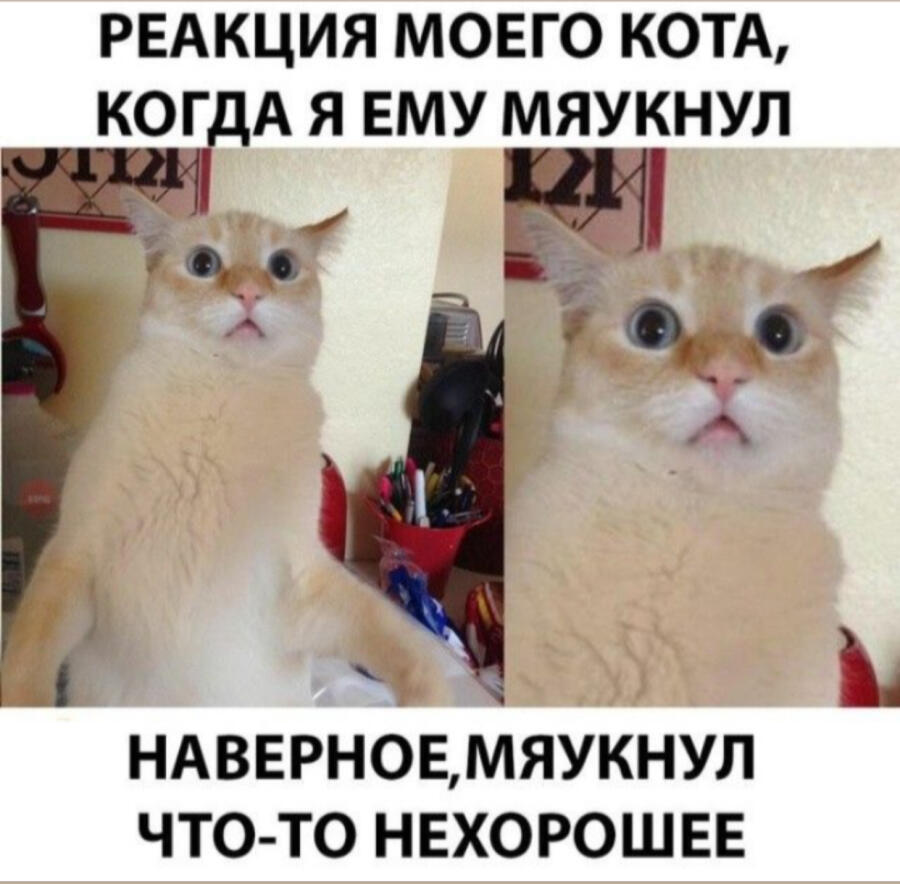 Мем от Kate4ka✨