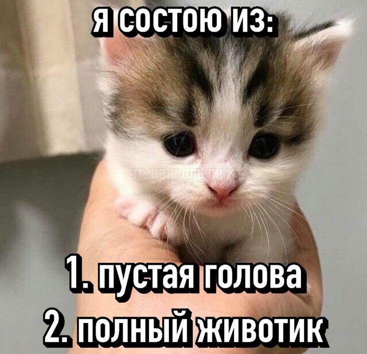 Мем без подписи