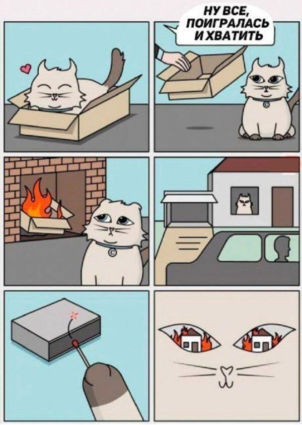 Хозяин этого кота демон!