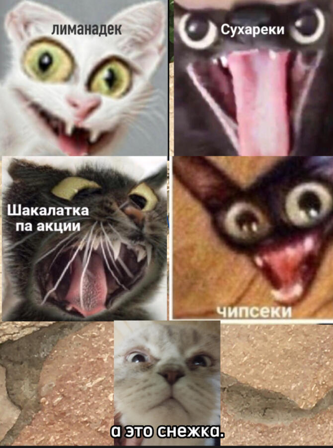 Даже незнаю что написать.