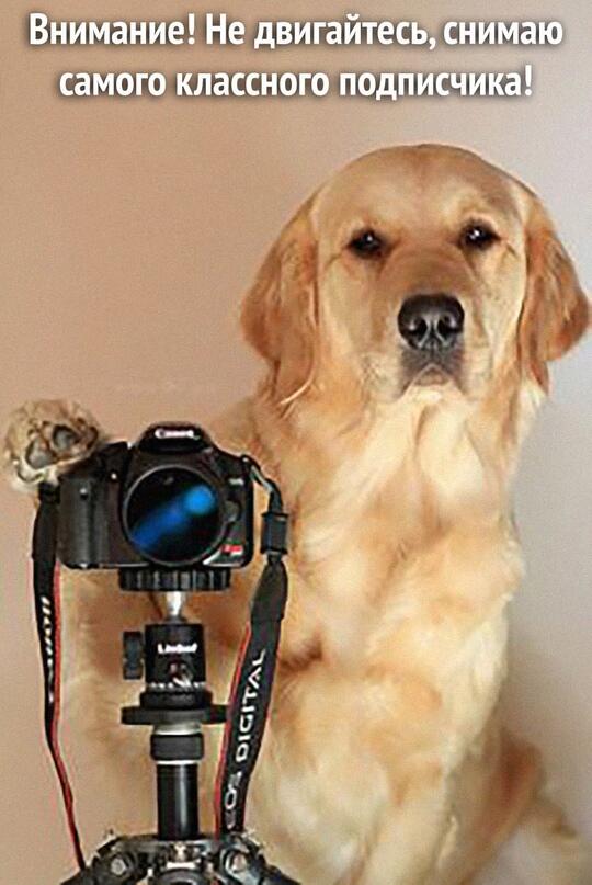 фоточку?